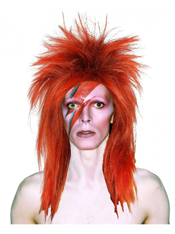 Perruque David Bowie